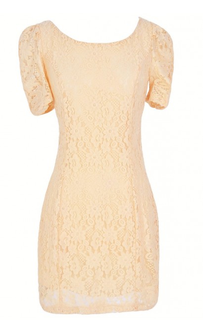 Skyler Fitted Lace Sheath Dress in Cream